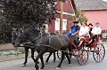 hajdina_2023_(152)