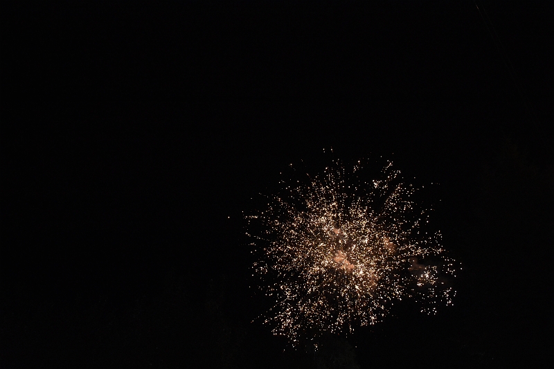 DSC_7890.JPG